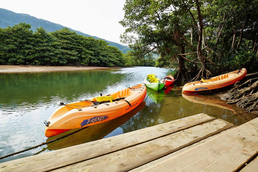 独木舟新动向，探索水上旅行的未来趋势