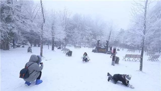 长沙雪舞纷飞，冬日的诗意邂逅惊喜