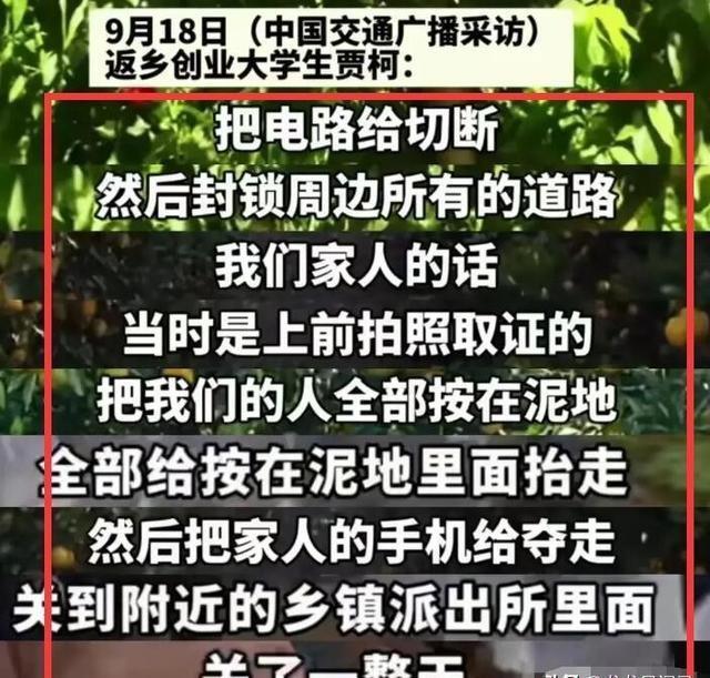 中考简历免费下载资源，助力学子迈向成功的阶梯